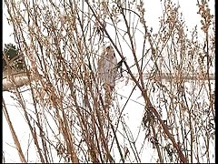 Spying on teen peeing on snow Part 1
