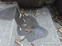 Piddle Here, Puddle There