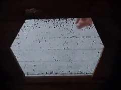 Observer films column urinating all over a clown public restroom Part 1