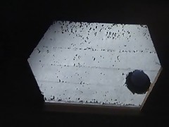 Unsuspecting women filmed urinating in a beachside restroom Part 1