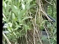 Little slut gets out of her client’s car to piss Part 2